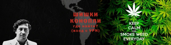 крисы Медвежьегорск