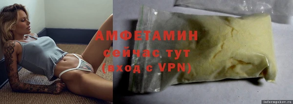 шишки Мегион