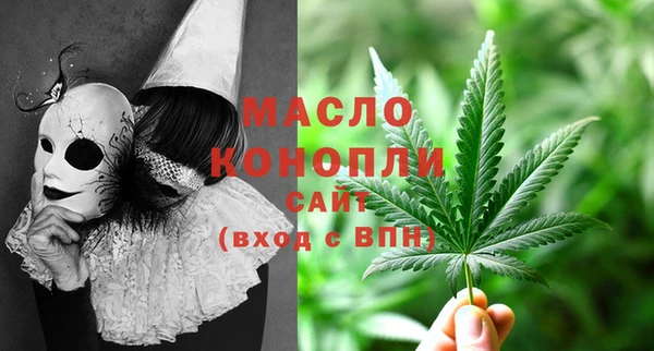 шишки Мегион