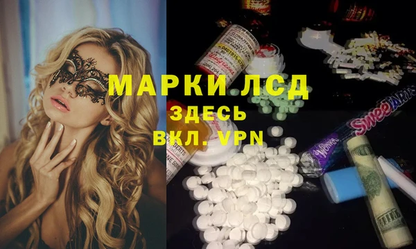 шишки Мегион