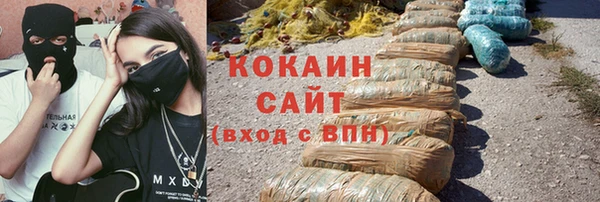 шишки Мегион