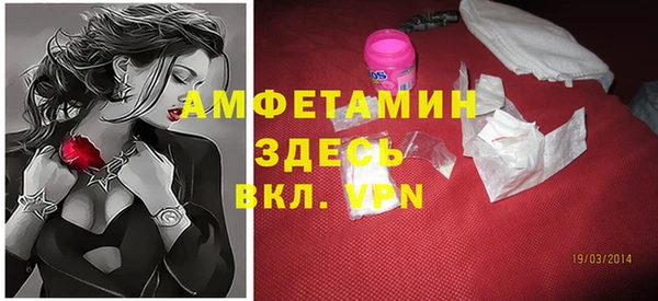 шишки Мегион