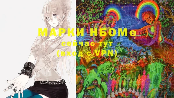 шишки Мегион