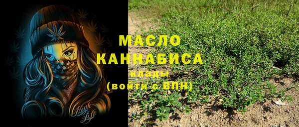 шишки Мегион